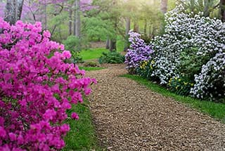 Landscaped Garden